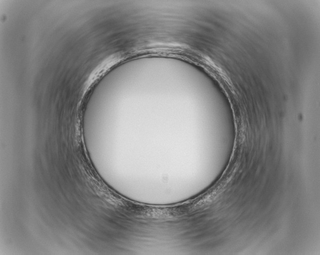 X0000086981362200704161117
