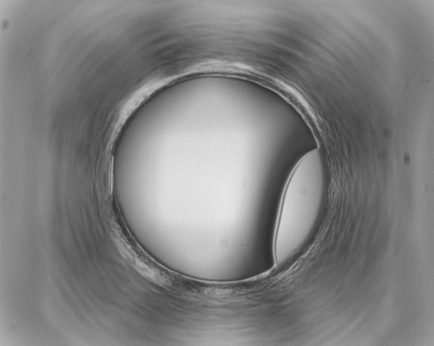 X0000086981371200704161116