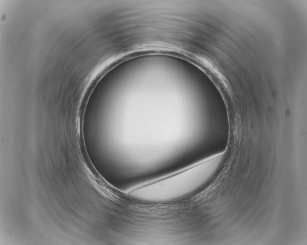 X0000086981372200704161116