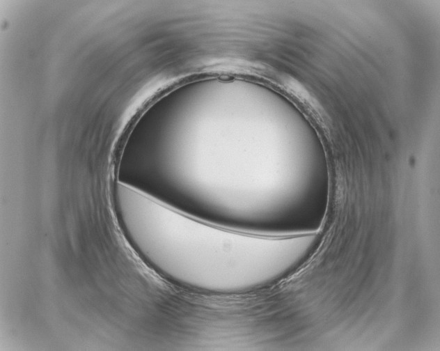 X0000086981376200704161116