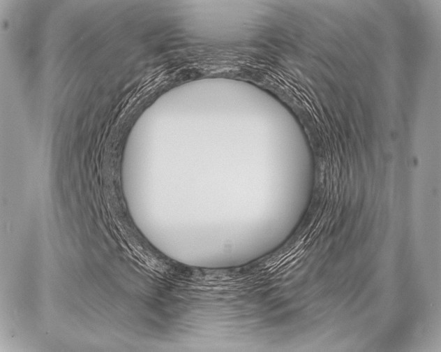 X0000086981393200704161115