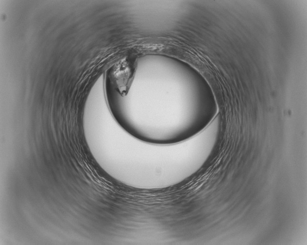 X0000086981394200704161115