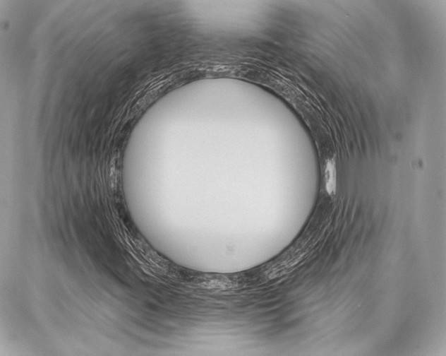 X0000086981395200704161115