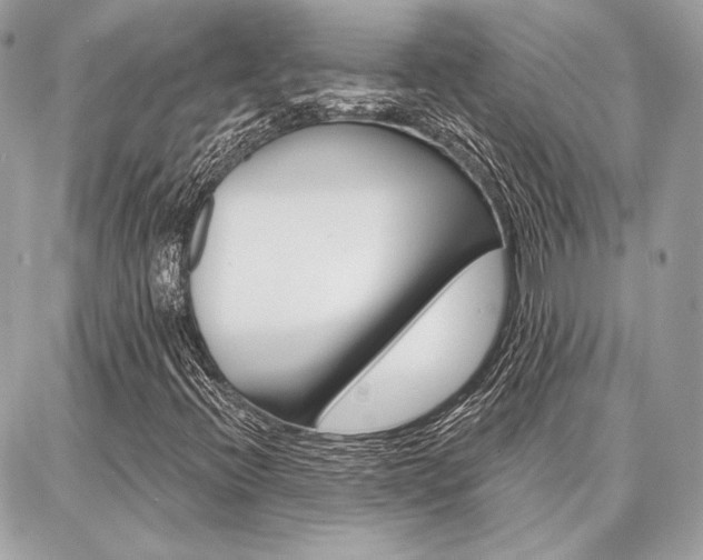 X0000086981396200704161115