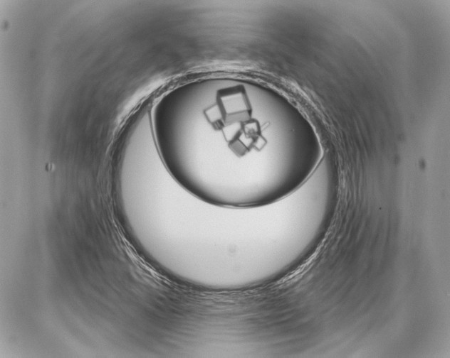 X0000086981406200704161115