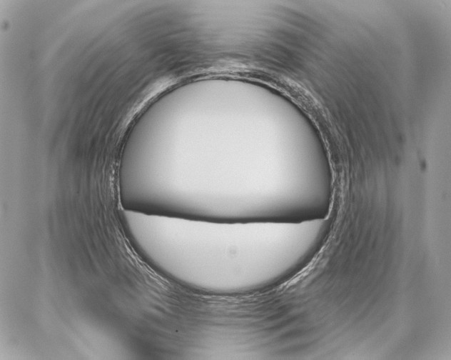 X0000086981409200704161116