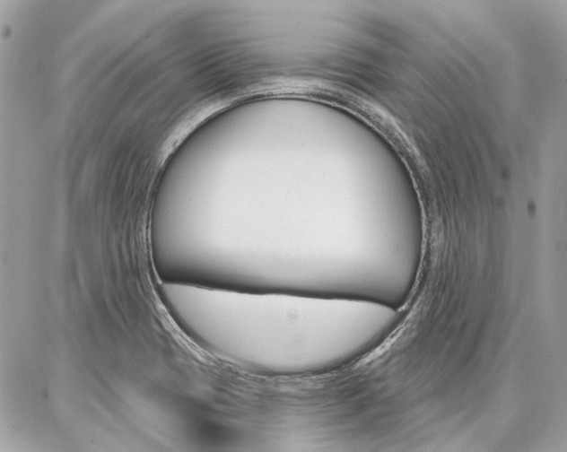 X0000086981417200704161116