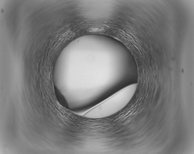 X0000086981441200704161115