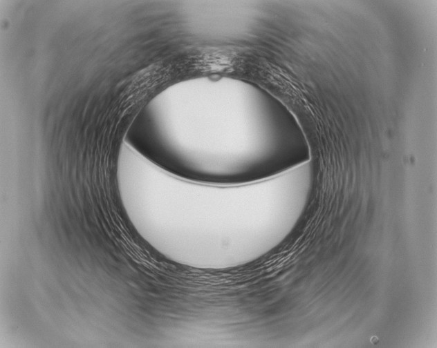 X0000086981442200704161115