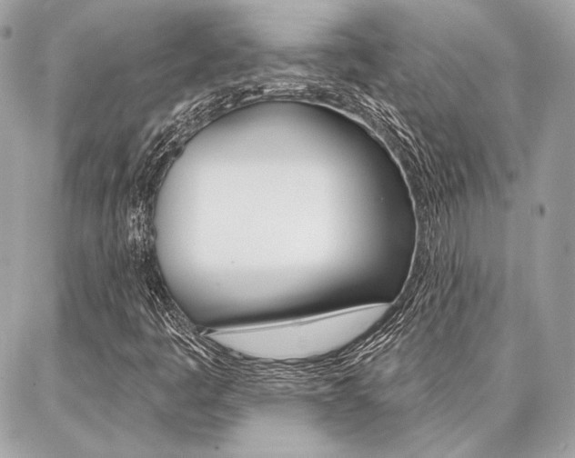 X0000086981445200704161115