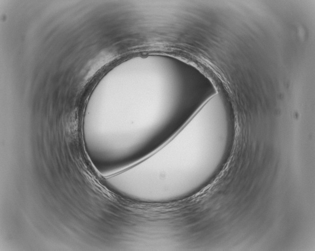 X0000086981450200704161115