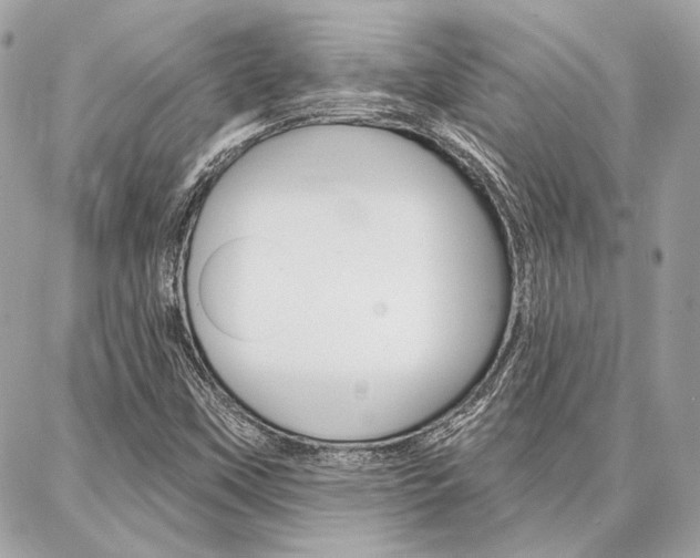 X0000086981451200704161115