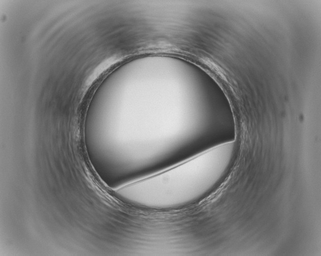 X0000086981458200704161115