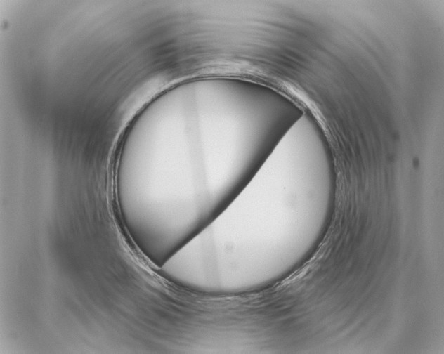 X0000086981467200704161115