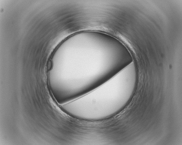 X0000086981468200704161115