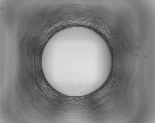 X0000086981492200704161114
