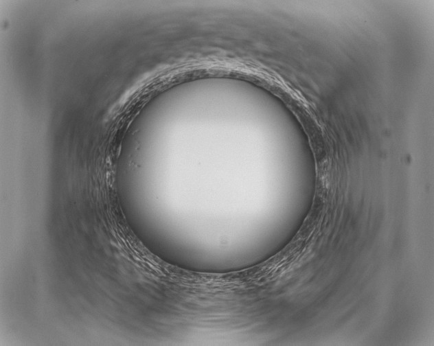 X0000086981495200704161114