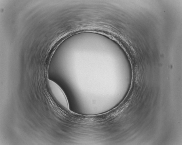 X0000086981497200704161114