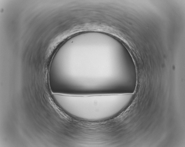 X0000086981507200704161114
