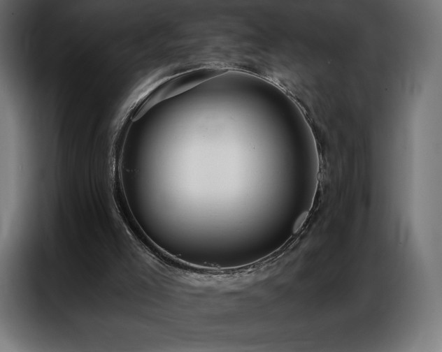 X0000086980005200704161456