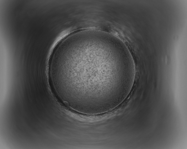 X0000086980006200704161456