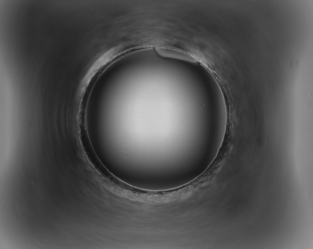 X0000086980007200704161456