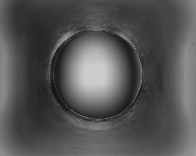 X0000086980008200704161456