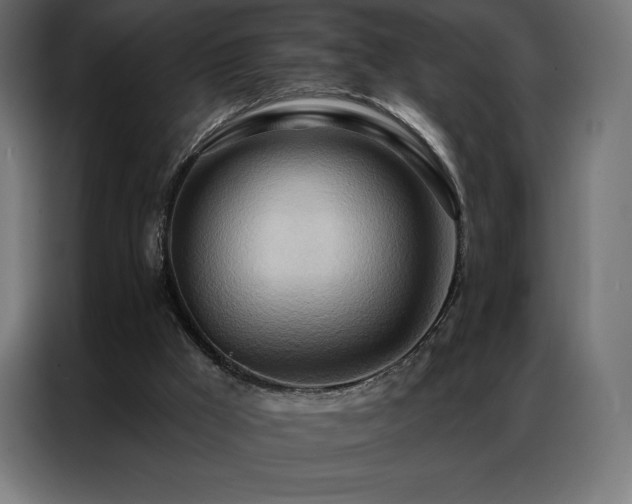 X0000086980009200704161456