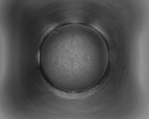 X0000086980014200704161456