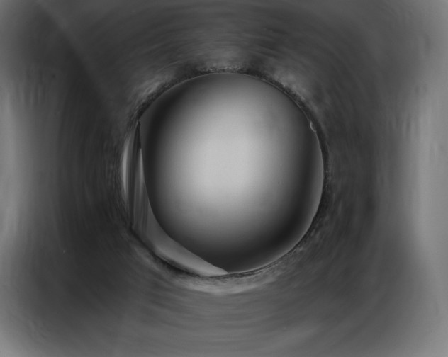 X0000086980017200704161456