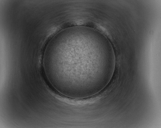 X0000086980018200704161456