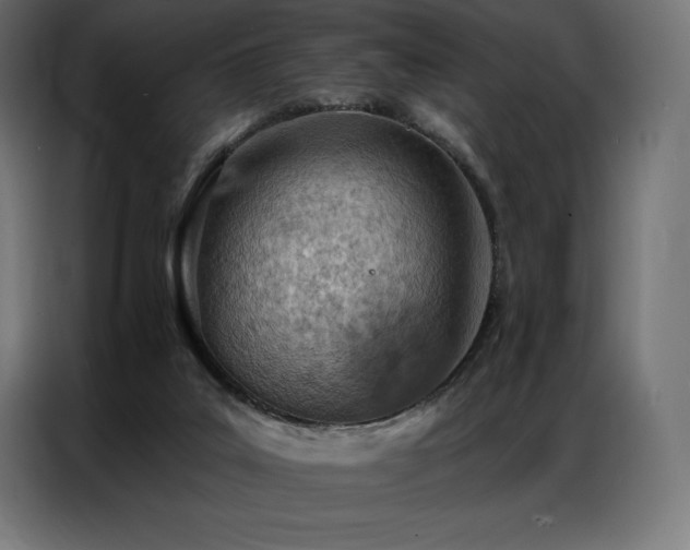 X0000086980019200704161456