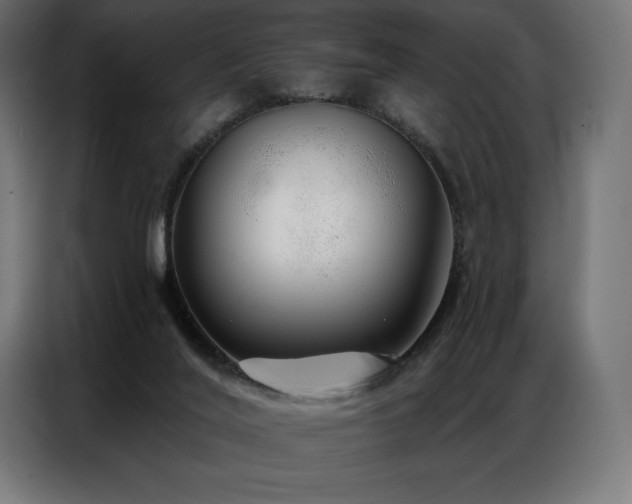 X0000086980020200704161456