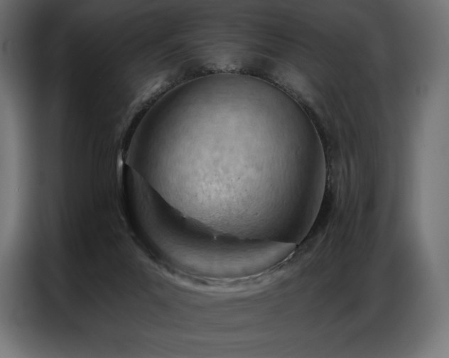 X0000086980023200704161456