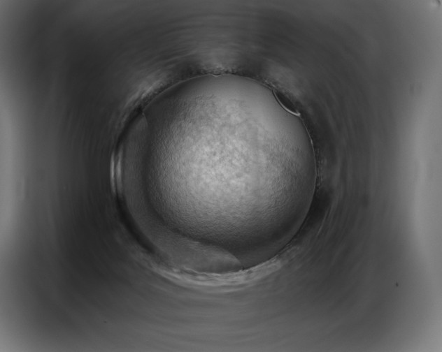 X0000086980027200704161456