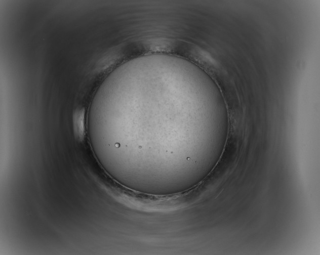 X0000086980028200704161456