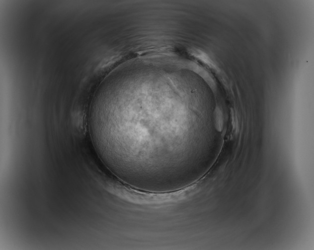 X0000086980031200704161456