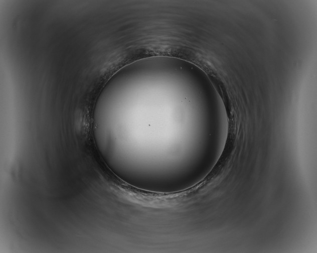 X0000086980040200704161456