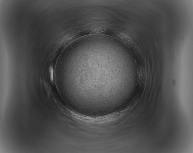 X0000086980046200704161456