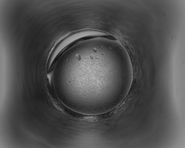 X0000086980050200704161455