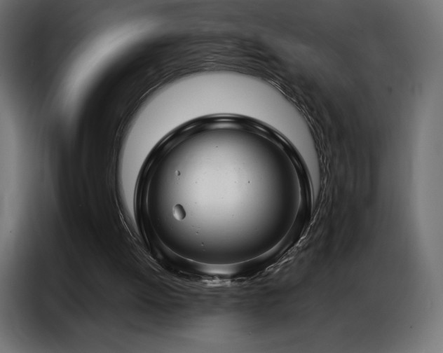 X0000086980052200704161455