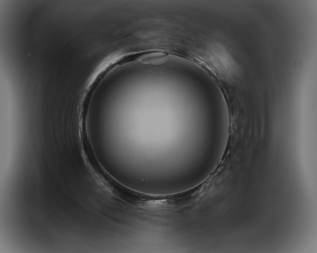 X0000086980054200704161455