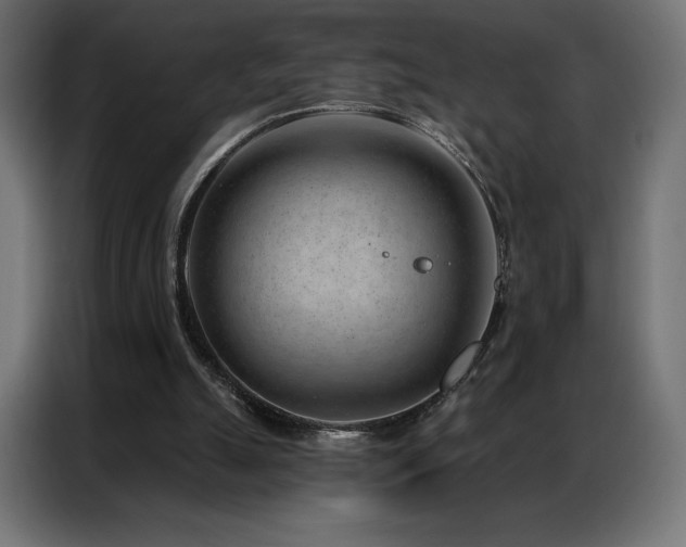 X0000086980055200704161455
