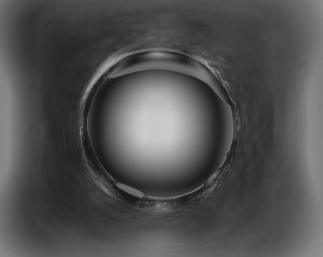 X0000086980056200704161455