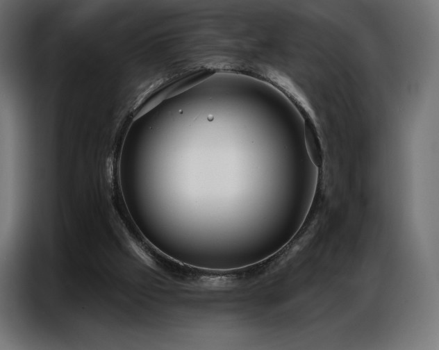 X0000086980057200704161455