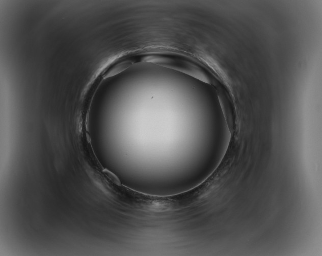 X0000086980060200704161455