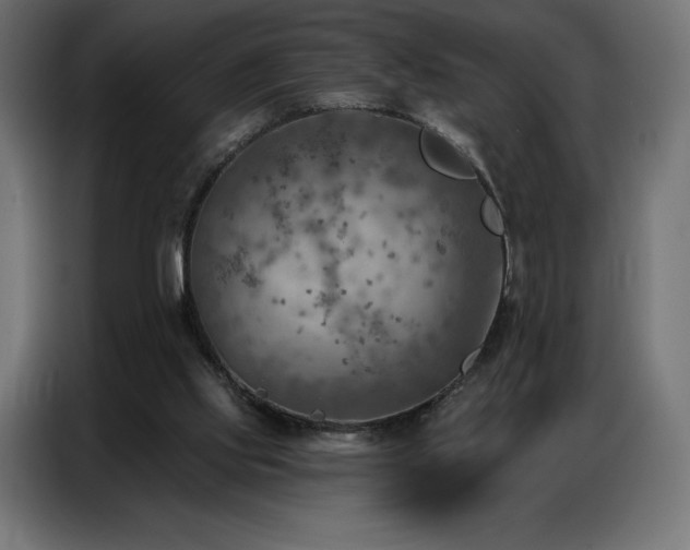 X0000086980061200704161455