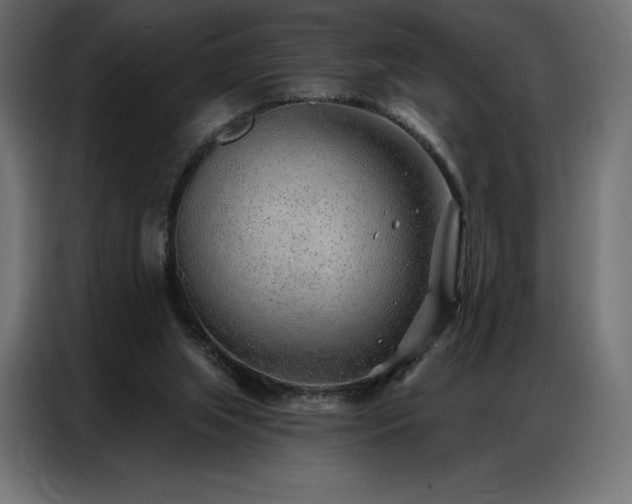 X0000086980063200704161455