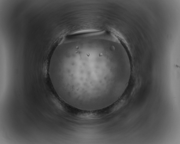 X0000086980065200704161455