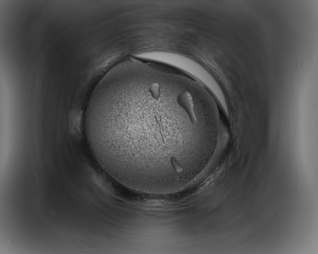 X0000086980066200704161455